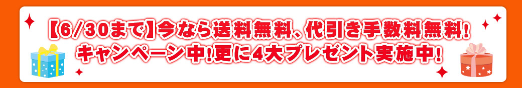 今なら送料無料、代引き手数料無料!キャンペーン中!更に5大プレゼント実施中!