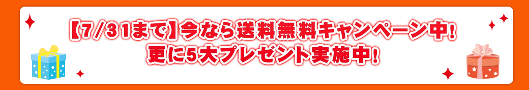 今なら送料無料、代引き手数料無料!キャンペーン中!更に4大プレゼント実施中!