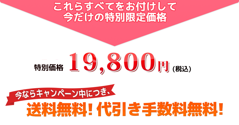 これらすべてをお付けして今だけの特別限定価格