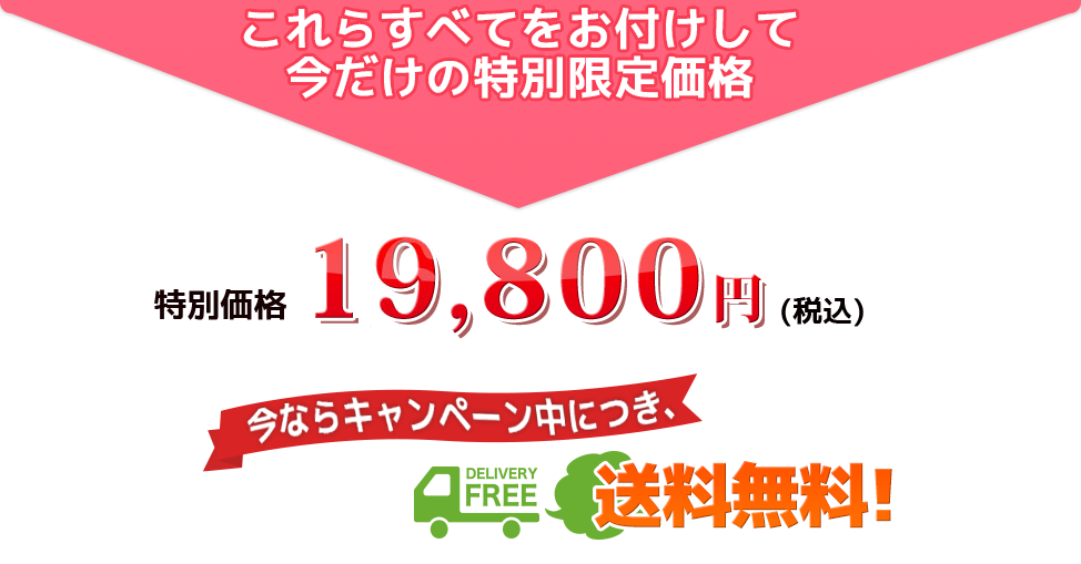 これらすべてをお付けして今だけの特別限定価格