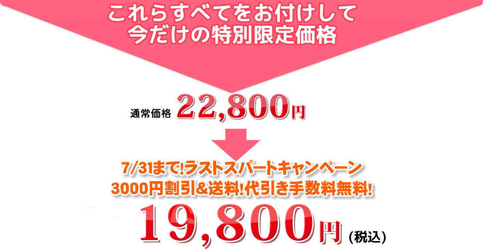 これらすべてをお付けして今だけの特別限定価格