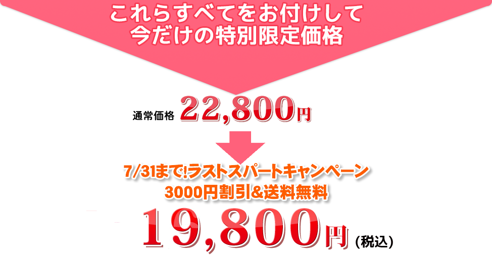 これらすべてをお付けして今だけの特別限定価格