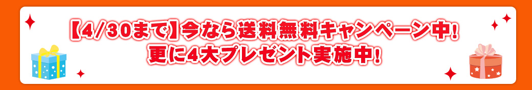 今なら送料無料、代引き手数料無料!キャンペーン中!更に4大プレゼント実施中!