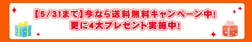 今なら送料無料、代引き手数料無料!キャンペーン中!更に4大プレゼント実施中!