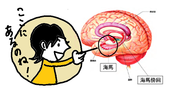 【無料で学べる】東大式記憶術ケアマネ試験一発合格脳学習法0
